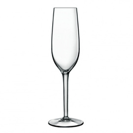 champagne goblet RUBINO 21 cl product photo