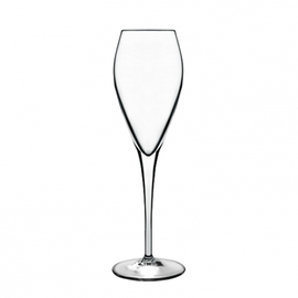 champagne goblet 20 cl ATELIER product photo