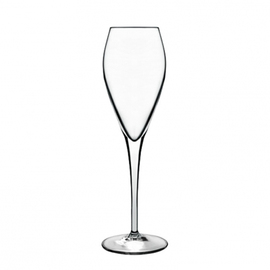 champagne goblet 20 cl ATELIER product photo