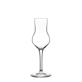 Grappa glass 8 cl ATELIER product photo