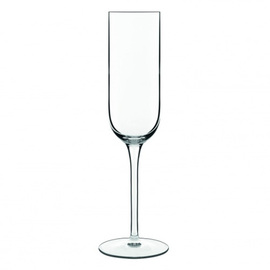 champagne goblet SUBLIME 21 cl product photo