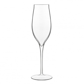 champagne goblet VINEA 20 cl H 230 mm product photo