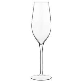 champagne goblet VINEA Franciacorta | Pinot Nero 27 cl H 252 mm product photo