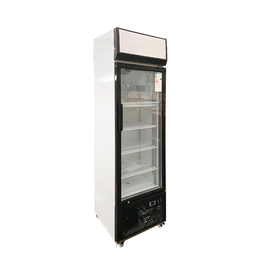 beverage fridge | 290 ltr | 600 mm x 590 mm H 1860 mm product photo  S