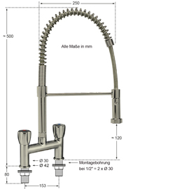 dish shower CLASSIC stainless steel two-handle mixer tap two-hole product photo  S