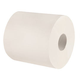 towel rolls | pallet purchase cellulose 2 ply white | inside processing product photo