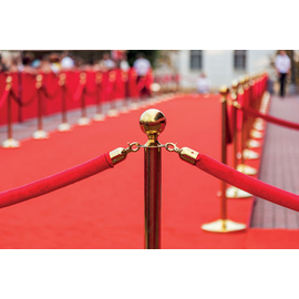 barrier cord smooth red | colour of fittings golden coloured L 1.5 m product photo  S