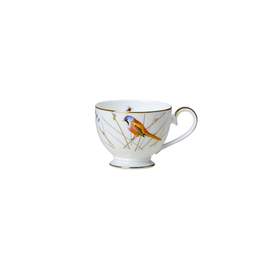 tea cup REED Bone China 220 ml product photo