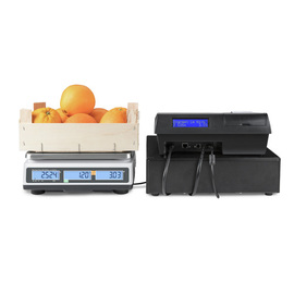 price computing scales RPB 6K1DM calibratable | weighing range up to 3 kg | 6 kg | subdivision 1 g | 2 g product photo  S