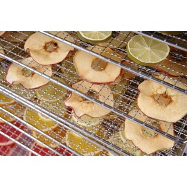 Professional Line Food Dehydrator | Professional Line | 10 Trays | 230V/1000W | 430x550x(H)416mm product photo S