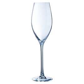 champagne goblet SEQUENCE 24 cl with mark; 0.1 l product photo