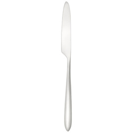 dining knife VELO BRUSHED L 230 mm product photo