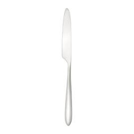 pudding knife VELO BRUSHED L 205 mm product photo