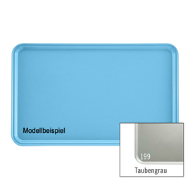 tray CAMTRAY GN 1/1 fibre glass taupe | Surface smooth product photo