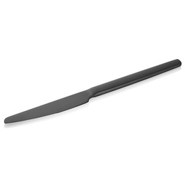 dining knife ALEX BLACK | stainless steel mat | PVD-coated  L 230 mm product photo
