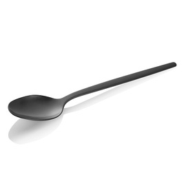 dining spoon ALEX BLACK | stainless steel mat | PVD-coated  L 210 mm product photo