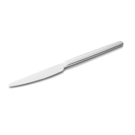 dining knife ALEX SILVER | stainless steel polished  L 230 mm product photo