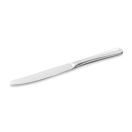 pudding knife BAGUETTE WAS stainless steel  L 210 mm product photo