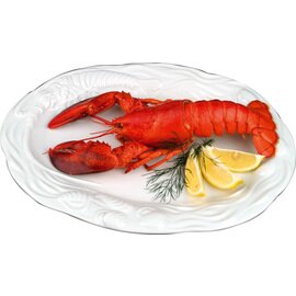 lobster dining plate porcelain white relief rim oval  L 400 mm  x 300 mm product photo