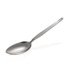 Clearance | Vegetable Spoon, CNS product photo