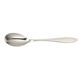 dining spoon TERRA L 214 mm product photo