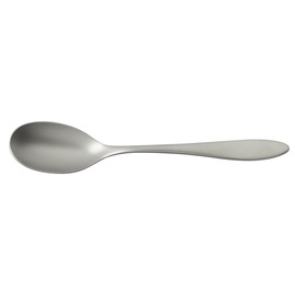 dining spoon TERRA RETRO L 214 mm product photo