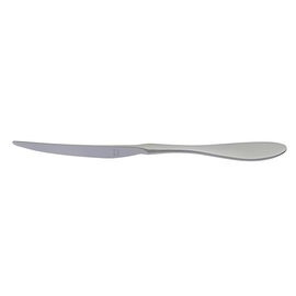 dining knife TERRA RETRO standing massive handle L 239 mm product photo