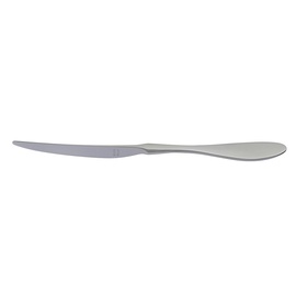 pudding knife TERRA RETRO standing massive handle L 216 mm product photo