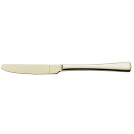 dining knife KARINA RETRO Champagner massive handle L 224 mm product photo