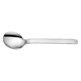 teaspoon FERRARA stainless steel matt  L 140 mm product photo