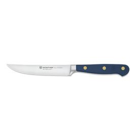 steak knife CLASSIC COLOUR Wild Blueberry product photo