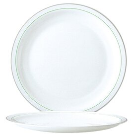 plate HOTELIERE VALERIE GREEN | tempered glass green white grey | two rim lines  Ø 235 mm product photo