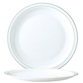 plate HOTELIERE VALERIE GREEN | tempered glass green white grey | two rim lines  Ø 195 mm product photo