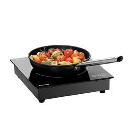 built-in induction stove 201TC | 2000 watts | 230 volts product photo