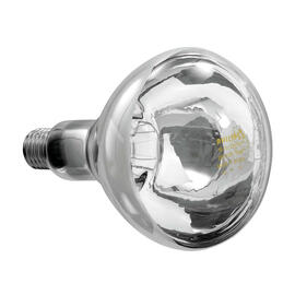 Infrarotlampe IWL250D-W product photo