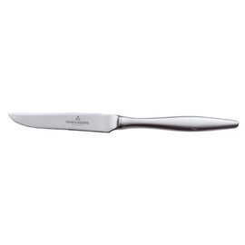 steak knife ATTACHÉ 6114 matt serrated cut | hollow handle  L 217 mm product photo
