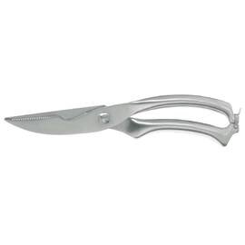 poultry shears Modern with spring with lock  L 255 mm  • dismountable product photo