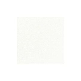 napkins DUNISOFT cream coloured 200 mm x 200 mm product photo