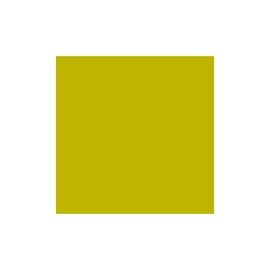napkins DUNISOFT kiwi green 200 mm x 200 mm product photo