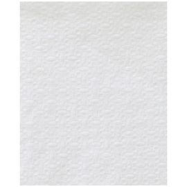 dispenser napkins paper dispenser fold • white 240 mm x 300 mm product photo