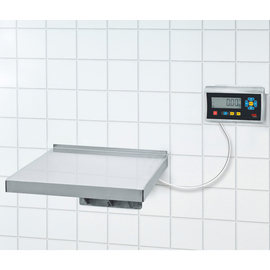 wall scales TerrexL-150+STAN07 calibratable digital weighing range 150 kg subdivision 50 g product photo