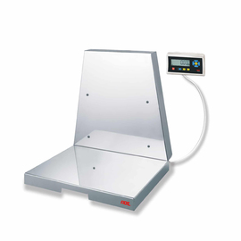 wall scales TerrexN-300+STAN07 to 300 kg | 100 g product photo