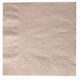 Bio-Towel 2 ply fold 1/4 nature 330 mm  x 330 mm product photo