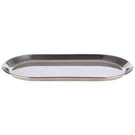 tray stainless steel stainless steel coloured 300 mm x 155 mm H 15 mm product photo