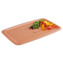 tray GN 1/1 TIERRA plastic terracotta coloured matt shiny  H 25 mm product photo