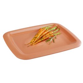 tray GN 1/2 TIERRA plastic terracotta coloured matt shiny  H 25 mm product photo