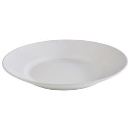 plate TIERRA plastic white matt shiny Ø 405 mm  H 55 mm product photo