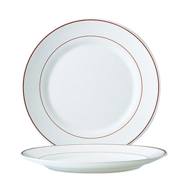 plate RESTAURANT BORDEAUX | tempered glass white red | red rim line  Ø 254 mm product photo