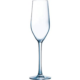 champagne goblet MINERAL 16 cl product photo