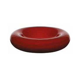 gourmet bowl CARMIN | stoneware | red Ø 203 mm H 50 mm product photo